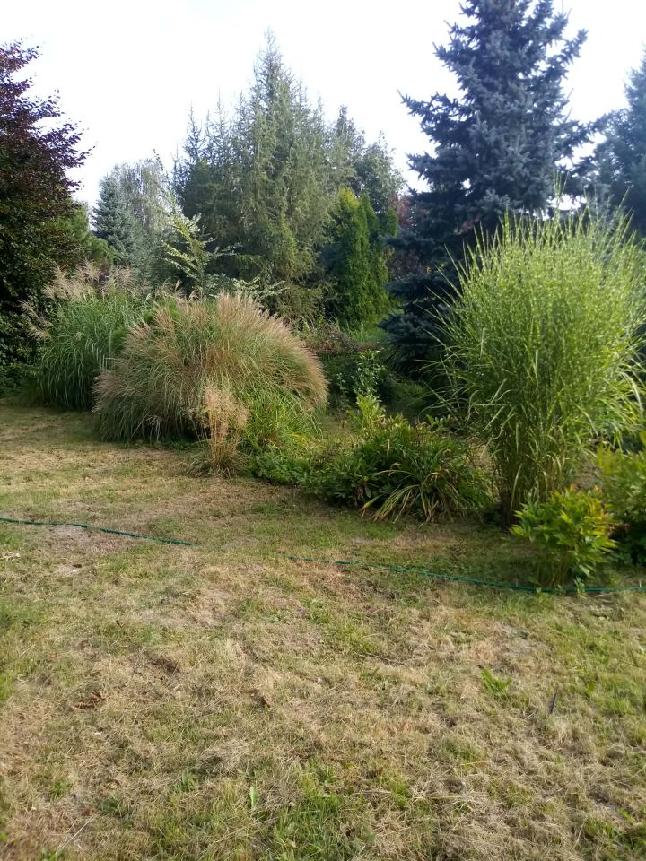 Działka budowlana Życiny. Zdjęcie 22