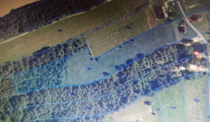 dom wolnostojący, 1 pokój Węgierka