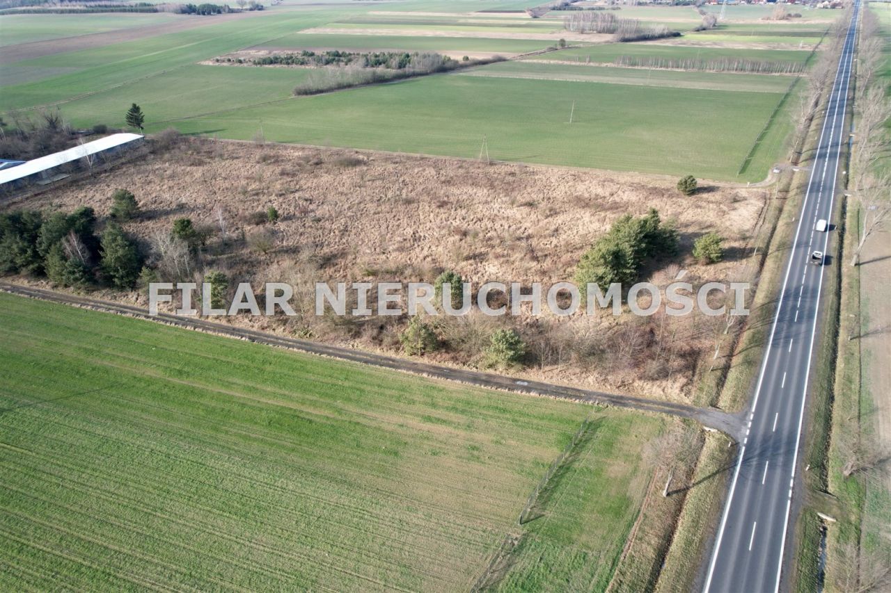 Działka inwestycyjna Gogołowice. Zdjęcie 8