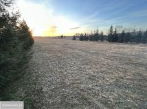 Działka budowlana Dudowizna. Zdjęcie 1