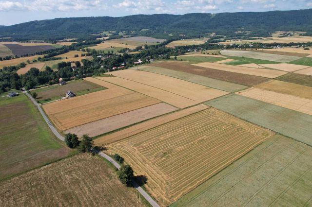Działka budowlana Stara Łomnica. Zdjęcie 1