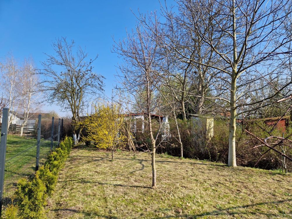 Działka rod Szlichtyngowa, ul. Daszyńskiego. Zdjęcie 5