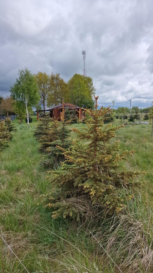 Działka siedliskowa Gleźnowo, Gleźnowo. Zdjęcie 1