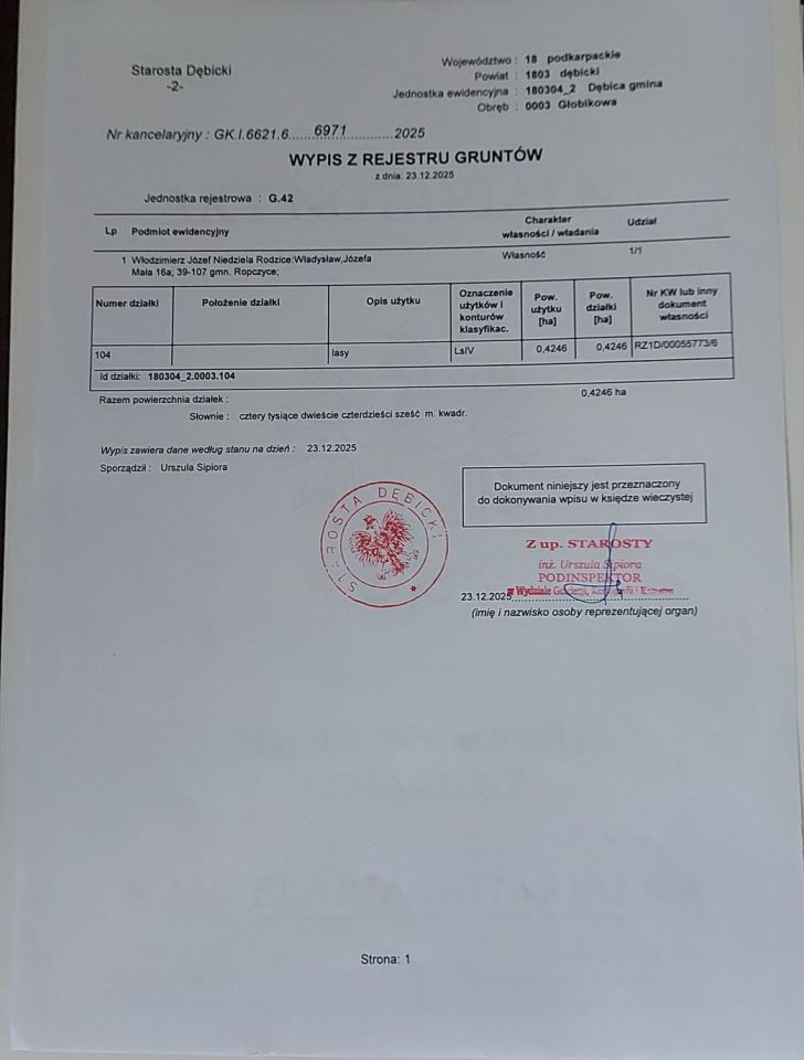 Działka leśna Głobikowa. Zdjęcie 1