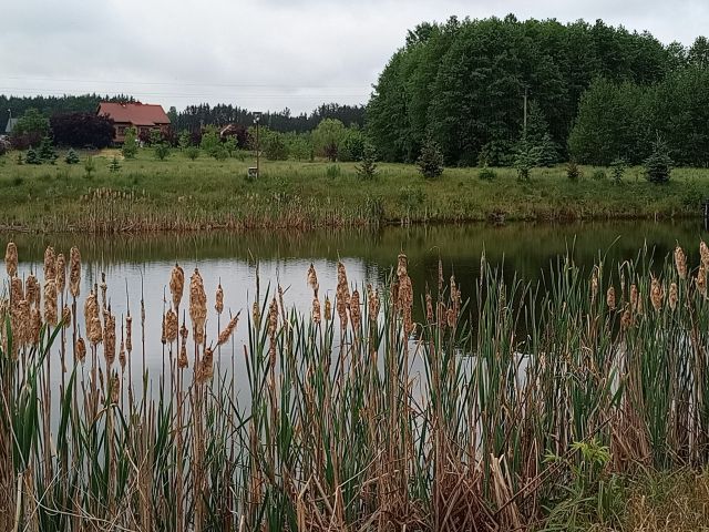 dom wolnostojący, 6 pokoi Stobnica-Piła. Zdjęcie 1