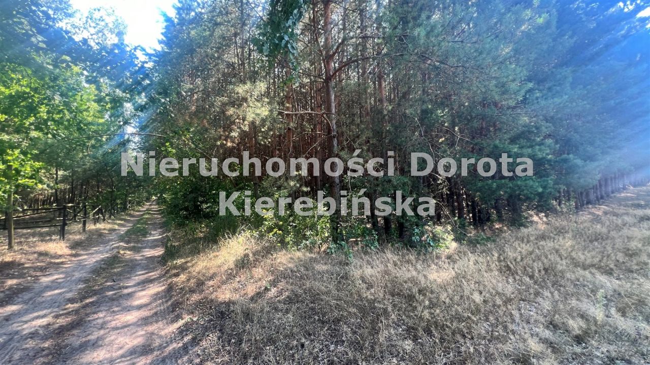 Działka rolna Wale. Zdjęcie 10