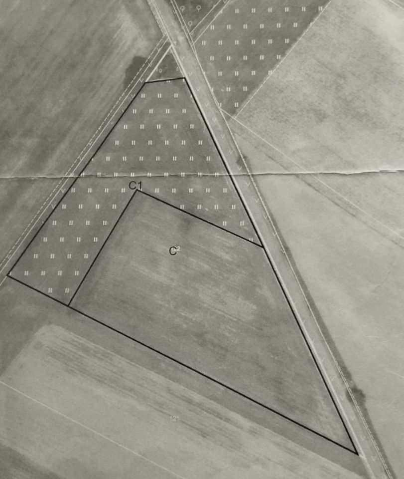 Działka rolna Popielów. Zdjęcie 2