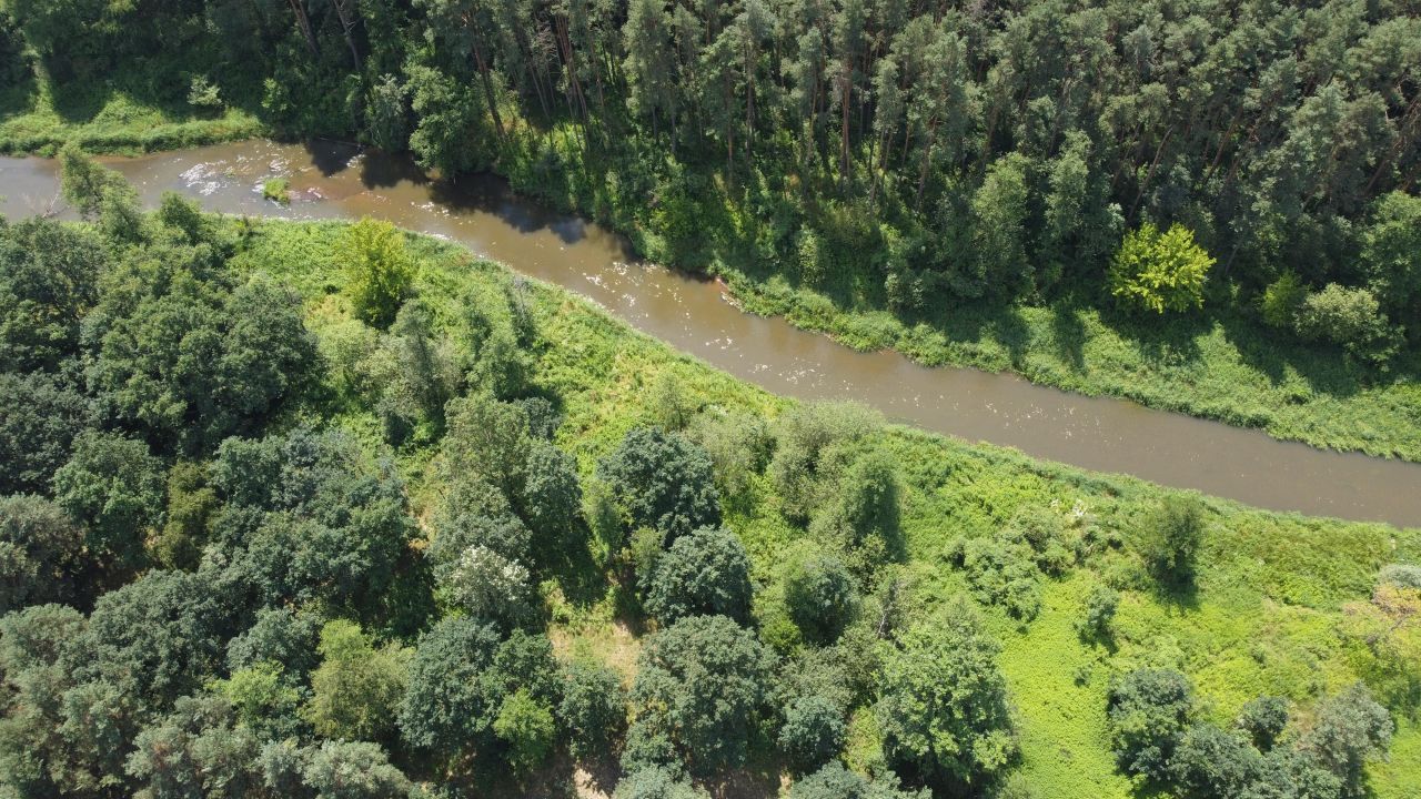 Działka budowlana Czerwona Wola. Zdjęcie 5