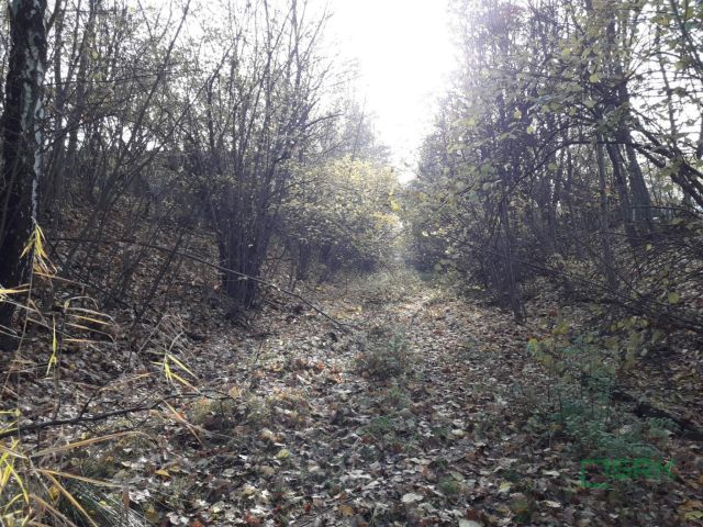 Działka Katowice, ul. Szopienicka. Zdjęcie 3