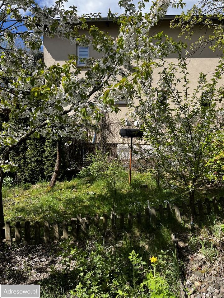 Działka rod Suchy Las. Zdjęcie 8