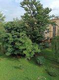 Mieszkanie 2-pokojowe Tarnów, ul. Romualda Traugutta. Zdjęcie 3