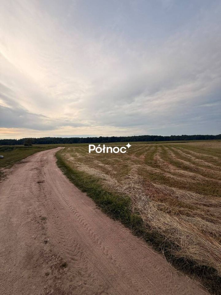 Działka rolna Krzewo. Zdjęcie 8