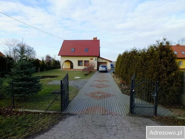 Działka rolna Orłowo. Zdjęcie 5