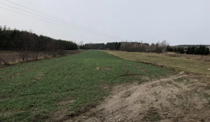 Działka rolna Ciechanowiec, ul. Wspólna