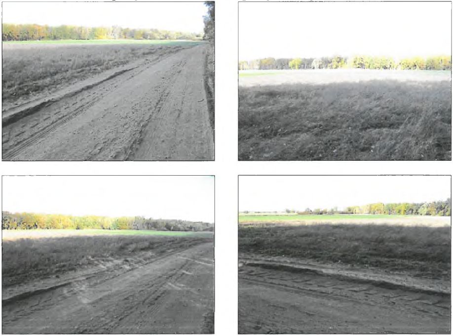 Działka rolna Chocim. Zdjęcie 2