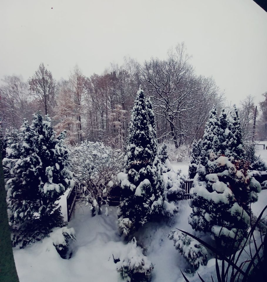 inny, 6 pokoi Przyszowice, Leśna. Zdjęcie 7