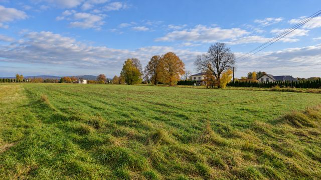 Działka rolno-budowlana Wójtowa. Zdjęcie 2