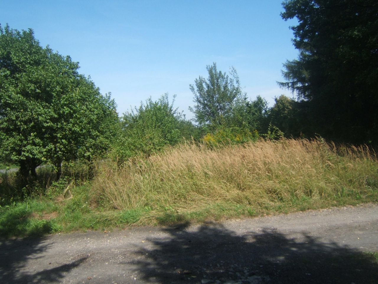 Działka budowlana Zrąb. Zdjęcie 3