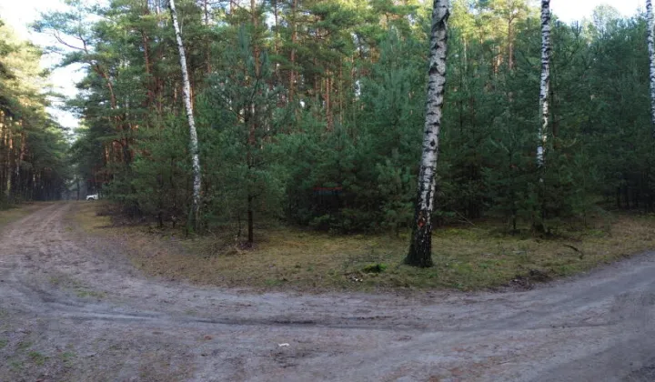 Działka leśna Bogatki