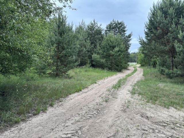 Działka rekreacyjna Budy Wielgoleskie. Zdjęcie 1