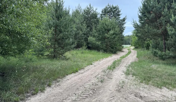 Działka rekreacyjna Budy Wielgoleskie