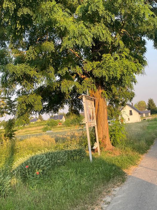 Działka budowlana Łysaków. Zdjęcie 4