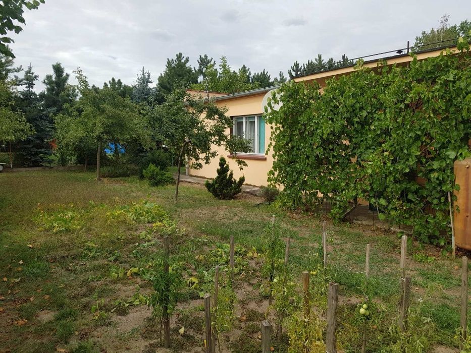 dom wolnostojący, 2 pokoje Prochowice. Zdjęcie 4