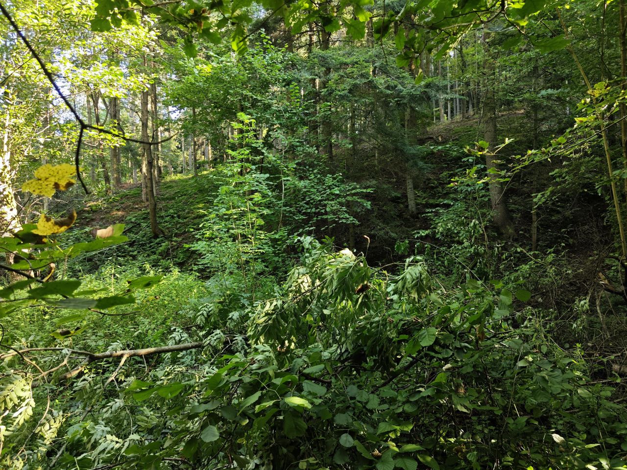 Działka rolno-budowlana Święcany. Zdjęcie 25