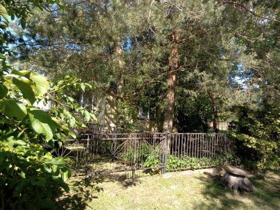 Działka siedliskowa Żabcze. Zdjęcie 5