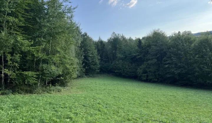 Działka rekreacyjna Frycowa