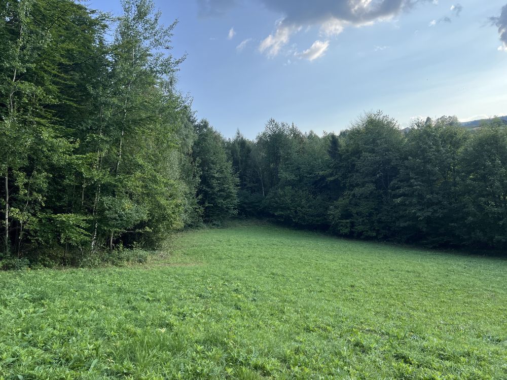 Działka rekreacyjna Frycowa