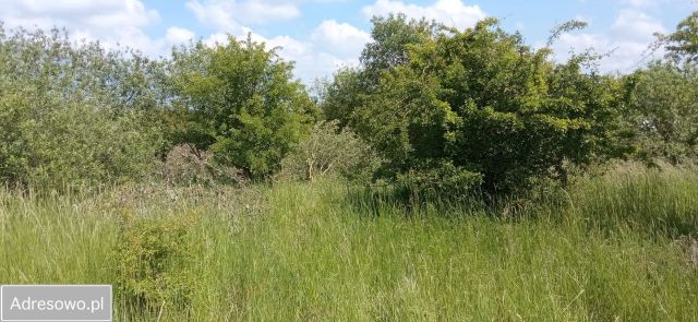 Działka rekreacyjna Niechorze. Zdjęcie 1
