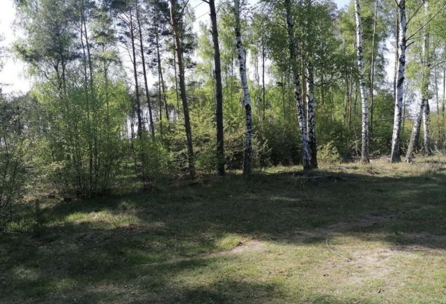 Działka budowlana Białasy. Zdjęcie 1