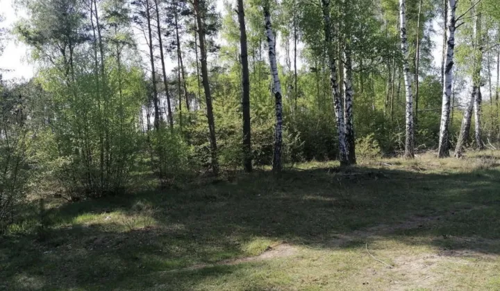 Działka budowlana Białasy