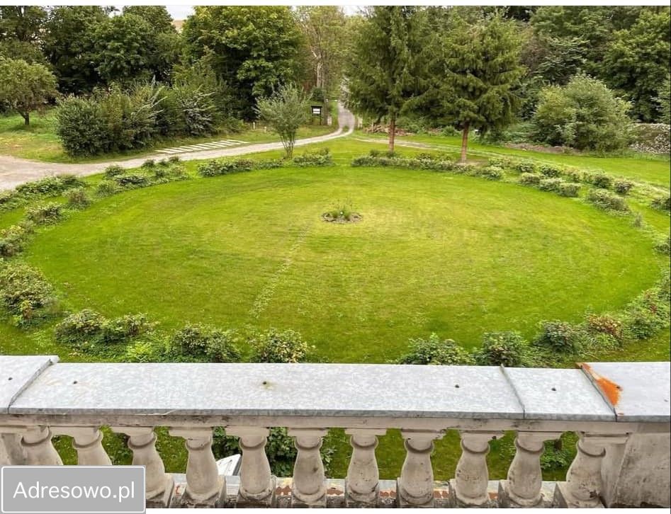 Nieruchomość komercyjna Orłów Murowany-Kolonia. Zdjęcie 9