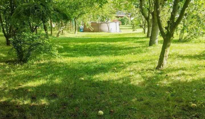 Mieszkanie 5-pokojowe Piskorzówek