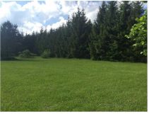 Działka rolno-budowlana Zapieczki. Zdjęcie 4