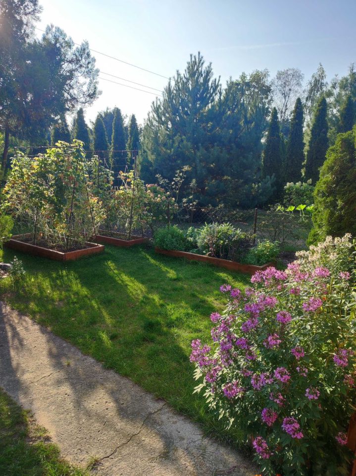 Działka rod Grodzisk Mazowiecki, ul. Akacjowa. Zdjęcie 4