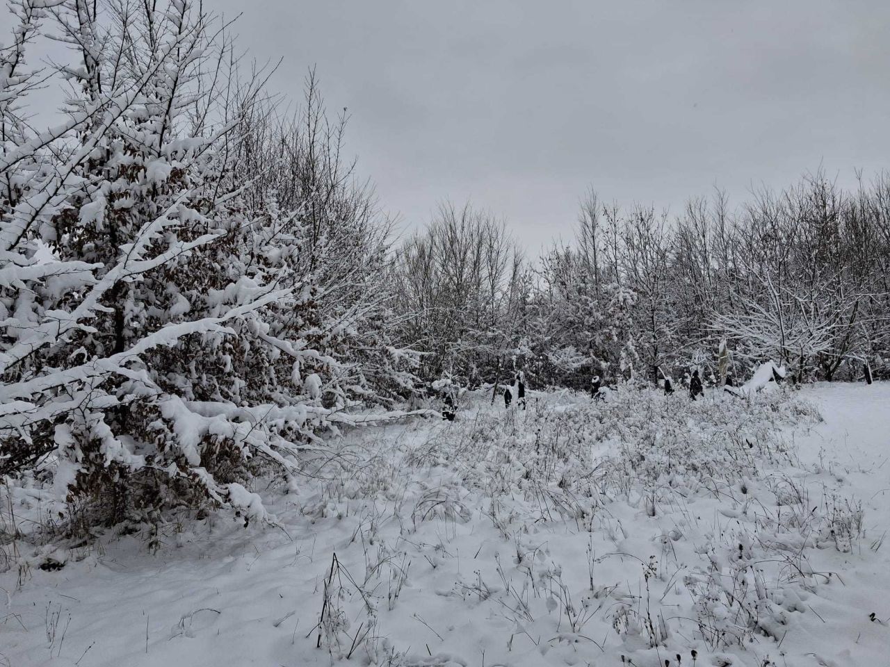 Działka rolno-budowlana Poskwitów Stary Poskwitów, ul. Na Błonia. Zdjęcie 7