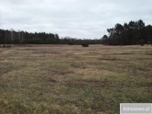 Działka budowlana Murzynowo. Zdjęcie 1