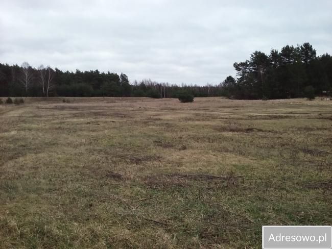 Działka budowlana Murzynowo. Zdjęcie 2