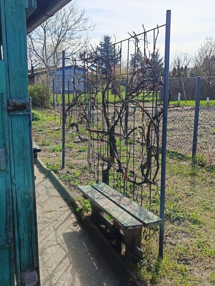 Działka rod Ostrowiec Świętokrzyski, os. Pułanki. Zdjęcie 4