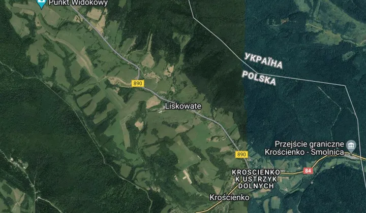 Działka siedliskowa Liskowate