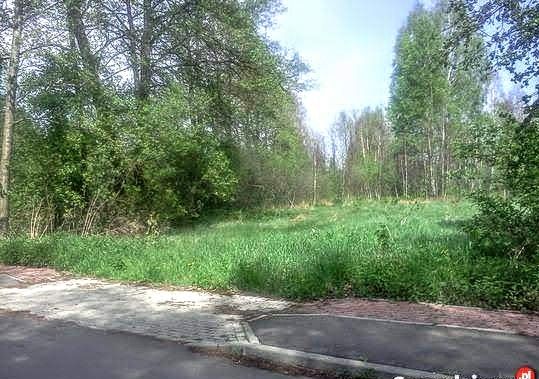 Działka rekreacyjna Adamówek, ul. Pańska. Zdjęcie 15