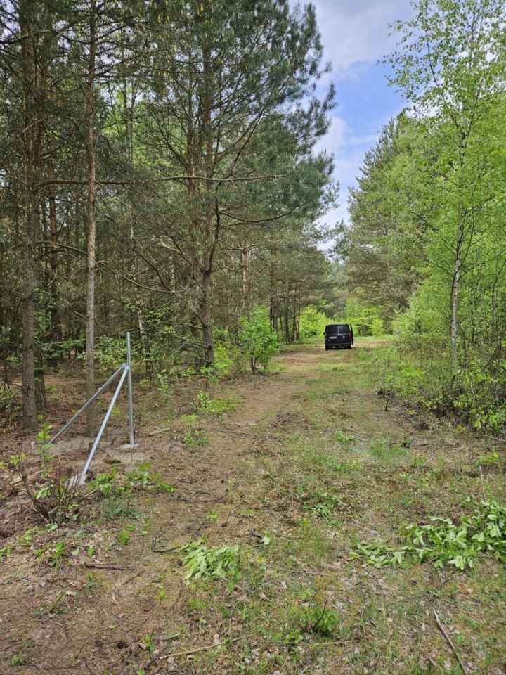 Działka rolno-budowlana Radziwiłłów, ul. Kota Filemona. Zdjęcie 5