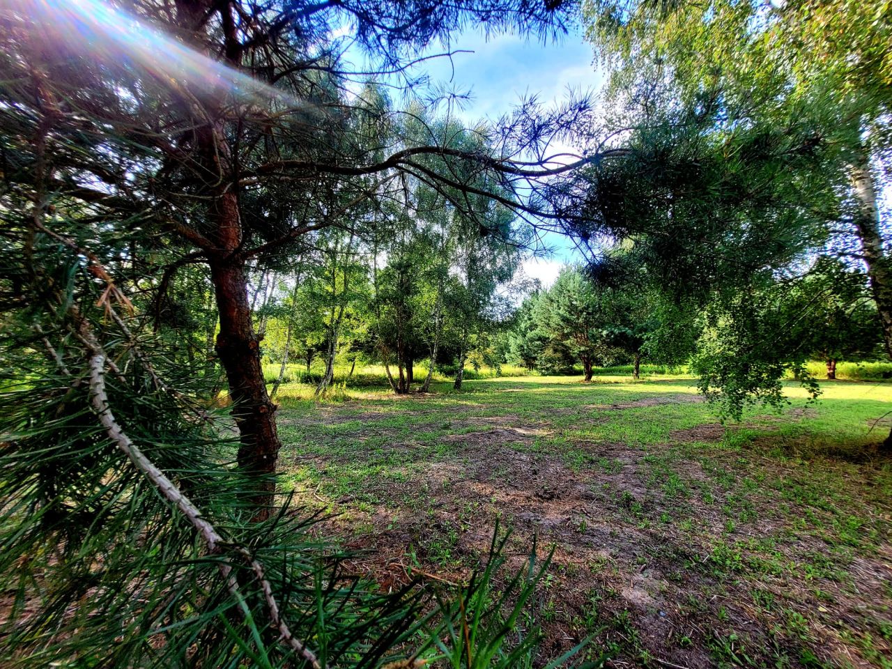 Działka budowlana Stradomia Wierzchnia, ul. Bukowa. Zdjęcie 5