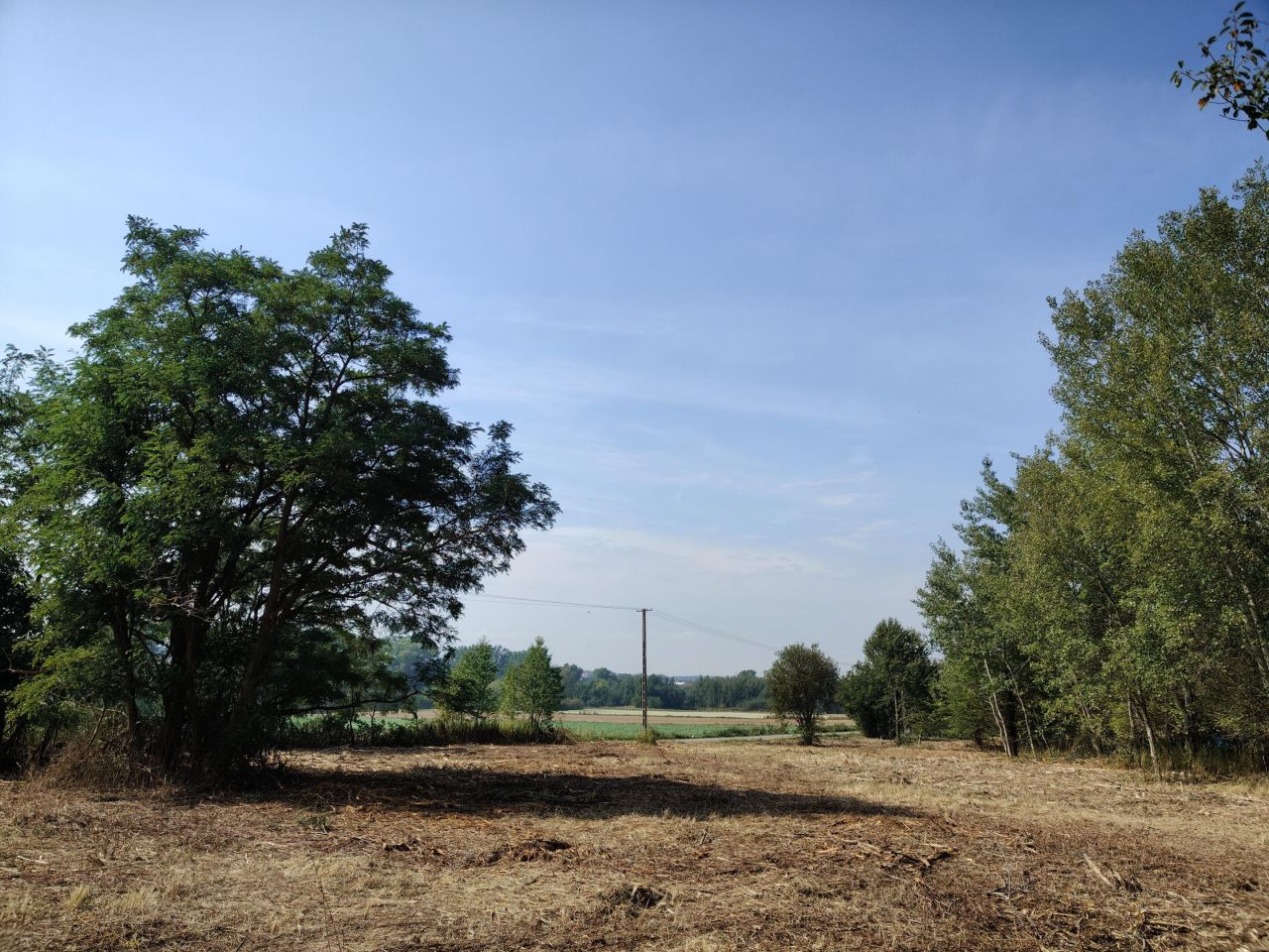 Działka budowlana Jabłonna Pierwsza. Zdjęcie 11
