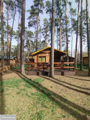 dom letniskowy, 3 pokoje Borsk. Zdjęcie 1