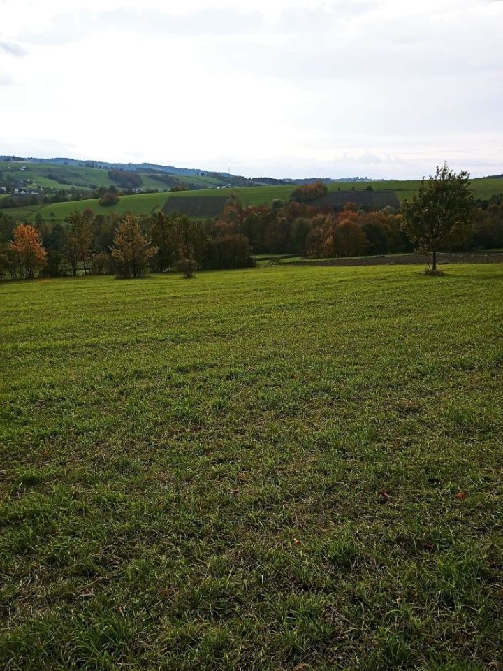 Działka rolno-budowlana Korzenna. Zdjęcie 3