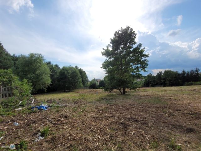 Działka inwestycyjna Kostomłoty Pierwsze. Zdjęcie 2